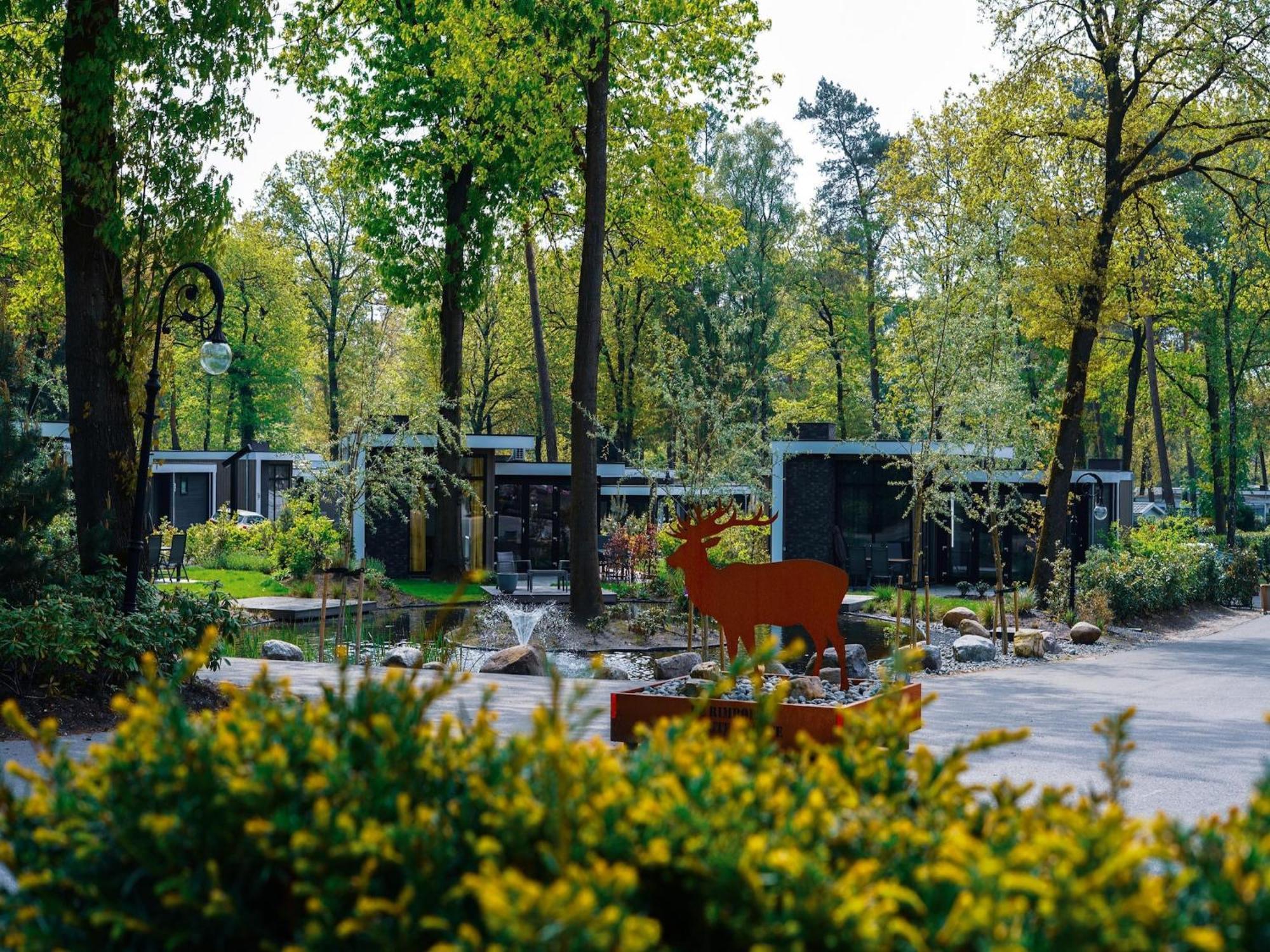 Modern House With Dishwasher In A Nature Reserve Hoenderloo Eksteriør billede
